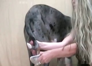 Booty is getting tongued by a trained animal