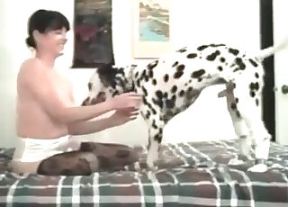 Spotted dog adores bestiality craziness