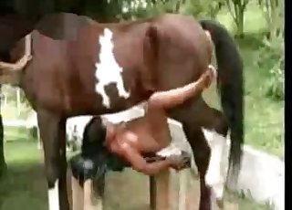Sexy bestiality porn compilation with horses