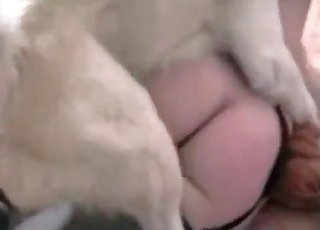 Fast sex of a black-haired and her instructed dog
