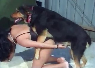 Doggy style bestiality sex with a German dog