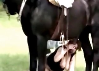 Stallion meatpipe is looking hot in her mouth