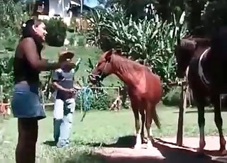 Pony enjoys masturbation sesh