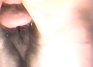 Big horse in the close-up shot