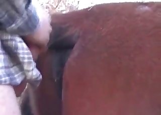 Chocolate-colored mare truly worships anal penetration
