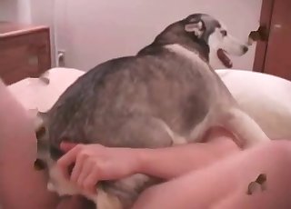 Watch me boning this doggy's anal hole