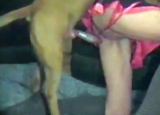 Big crimson rocket in her tight pussy