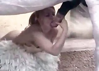 Big-titted babe loving horse cock