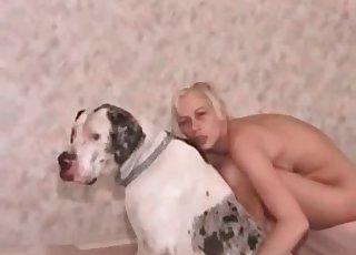 شقراء ذات أصول مذهلة وشهوة قضيب الكلب