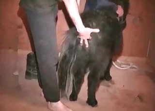 Kinky, molten farm sex extravaganza.