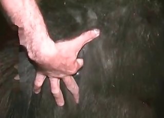 變態、火辣的農場性愛盛宴。