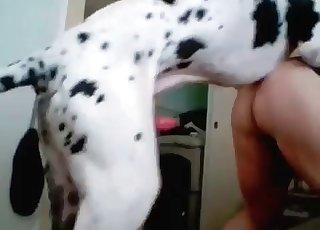 Dalmatian fucking her cock-squeezing vulva