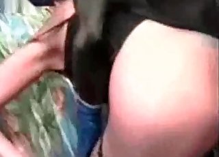 Nasty sex session with a pony