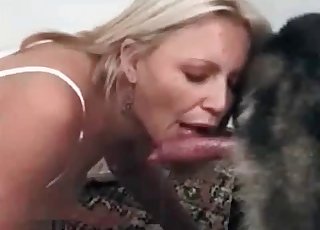 Horny dog gets a BJ from a blonde