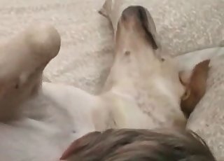 Lil dark-skinned puppy pummeled