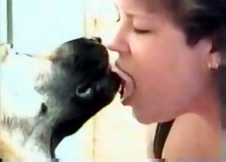 Country gal fucked by a mutt