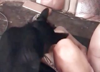 Sötéthajú kislány brutális szex a szőrös hajak között, szenvedélyes és durva pillanatok