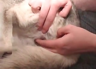 Fucking cute doggie in the ass