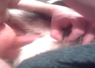 Mutt loves getting used anally