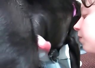 Dog loves getting its jizz-shotgun sucked
