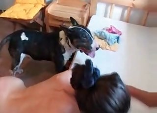 Married couple fucking a doggie