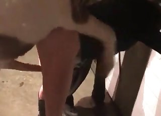 Yam-sized pony fucks on cam
