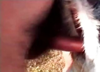 Lovely couple enjoying outdoors