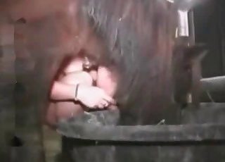 Horse fucking her on a farm