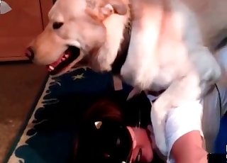 Passionate dog pounds my wife