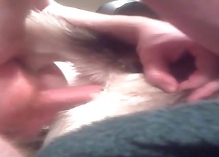 Amateur anal sex with a dog