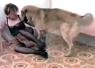 Dog luvs her sexy nylon clothes
