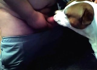 Dog slurps my ass from behind