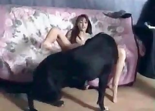 Doberman enjoys her nasty snatch