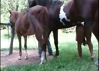 Kinky pervert screwed at the farm