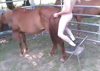 Horse screwed from behind