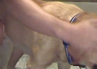 Just banging this naughty rear end