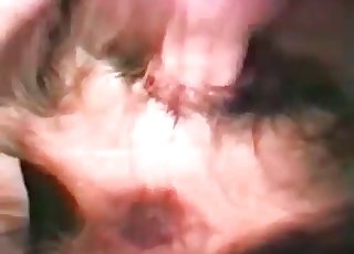 让我狠狠地干这只杂种狗，感受它粗糙的毛发和温热的喘息，在狂野的交配中释放原始的欲望。