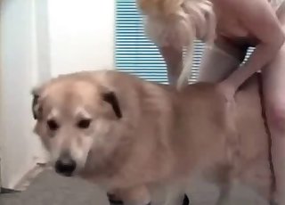 Huge hairy dog and slim bitch