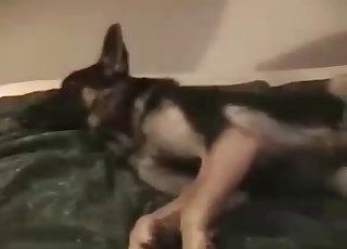 Hund erforscht und dehnt den bung, warm und nass