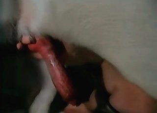 ممارسة الجنس مع مهبلها الضيق في وضعية التبشير