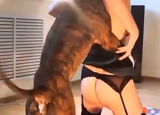 Fast fucking with a trained puppy