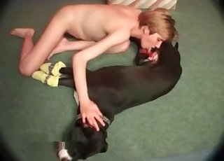 Laying mutt is being sucked hot
