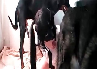 Black beast and submissive zoo slut