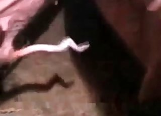 Brute fucks in the close up