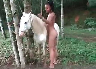 White horse and slender zoo tart