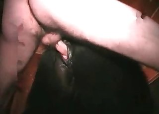 Dirty assfucking sex with a pony