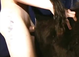 Hondenduitse bestialiteit met een heet dier in hardcore stijl
