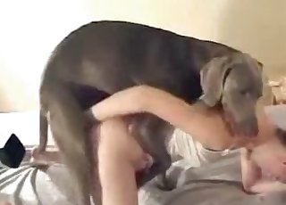Sexy Doberman nicely pounds a great-looking zoofil