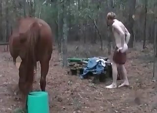 Pony enjoys perverted anal sex