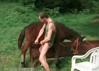 Filthy anal sex with a stallion